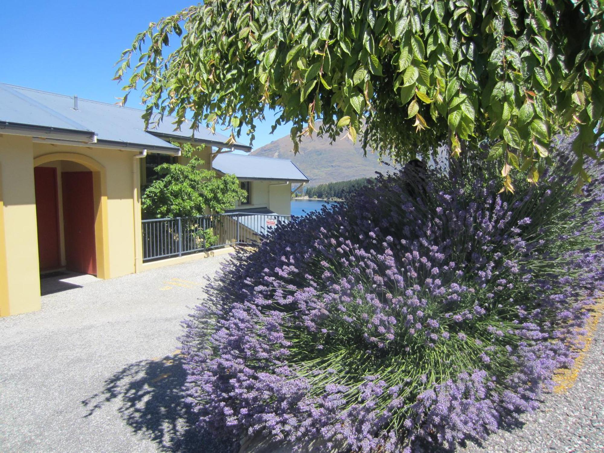 Villa Del Lago Queenstown Exterior photo